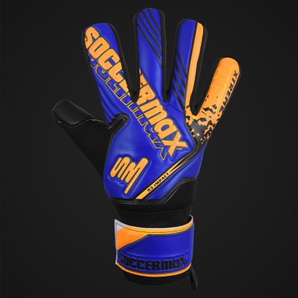 Blue Goalie Gloves
