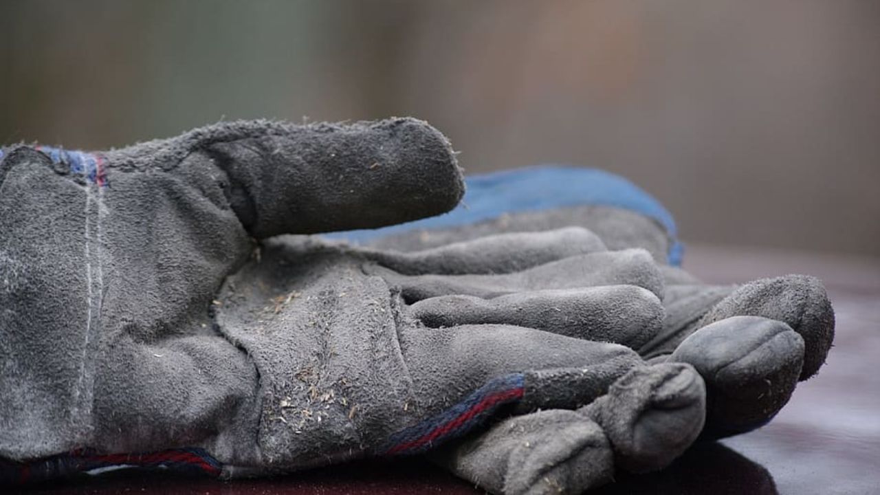 Goalie Gloves